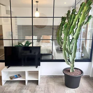 Cactus Apartamento
